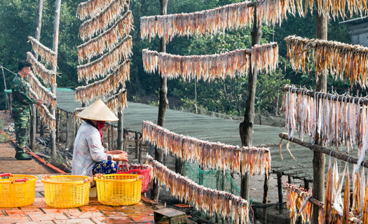 Cà Mau: Vùng đất thiêng của Tổ quốc